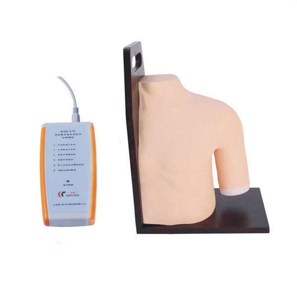 Shoulder Simulator for Joint Injection